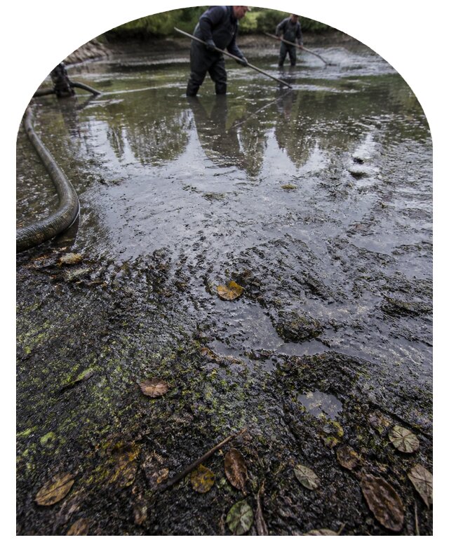 Очистка пруда в Симферополе от ила мусора и водорослей с вывозом